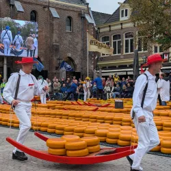 Alkmaar Cheese Market - Alkmaar