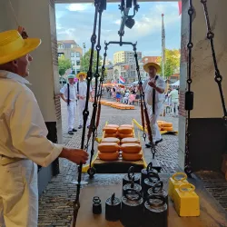 Alkmaar Cheese Market - Alkmaar