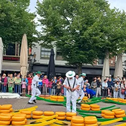 Alkmaar Cheese Market - Alkmaar