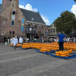 Alkmaar Cheese Market - Alkmaar