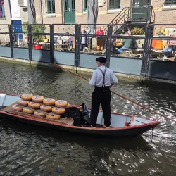 Alkmaar Cheese Market - Alkmaar