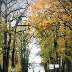 Almelo Castle (Kasteel Almelo) - Almelo