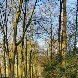 Almelo Castle (Kasteel Almelo) - Almelo