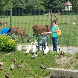 Almelo Castle (Kasteel Almelo) - Almelo