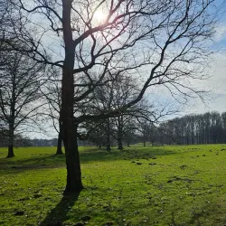 Almelo City Park (Stadspark Almelo) - Almelo