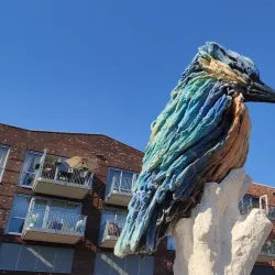 Almelo Market - Almelo