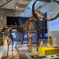 TwentseWelle - Almelo