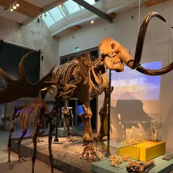 TwentseWelle - Almelo