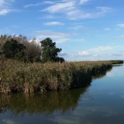 Almere Haven - Almere