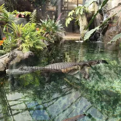 Almere Jungle - Almere