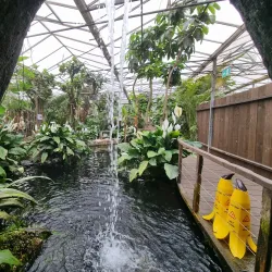 Almere Jungle - Almere