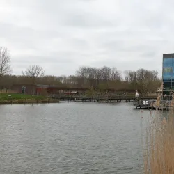 De Kemphaan - Almere