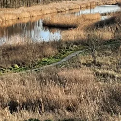De Oostvaardersplassen Visitor Center - Almere