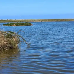 De Oostvaardersplassen Visitor Center - Almere