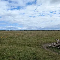 De Oostvaardersplassen Visitor Center - Almere