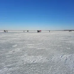 De Oostvaardersplassen Visitor Center - Almere