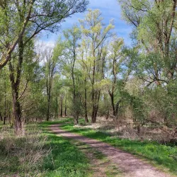 De Oostvaardersplassen Visitor Center - Almere