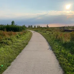 Oostvaardersplassen Nature Reserve - Almere