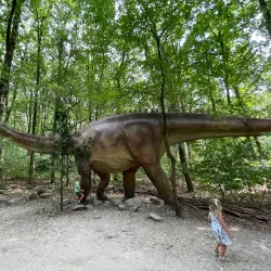 Amersfoort Zoo (DierenPark Amersfoort) - Amersfoort