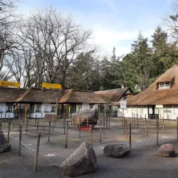 Amersfoort Zoo (DierenPark Amersfoort) - Amersfoort