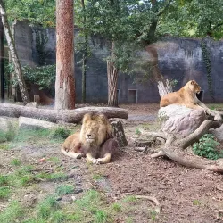 Amersfoort Zoo (DierenPark Amersfoort) - Amersfoort