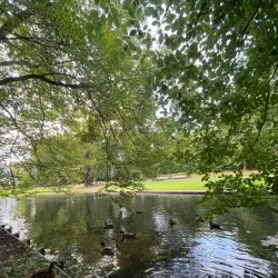 Park Randenbroek - Amersfoort