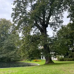 Park Randenbroek - Amersfoort