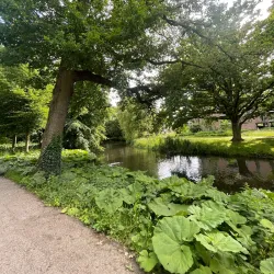 Park Randenbroek - Amersfoort