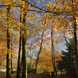 Park Randenbroek - Amersfoort