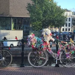 Jordaan Neighborhood - Amsterdam