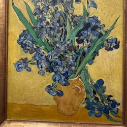 Van Gogh Museum - Amsterdam