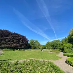 Vondelpark - Amsterdam