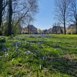 Vondelpark - Amsterdam
