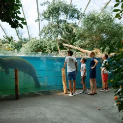 Burgers' Zoo - Arnhem