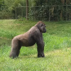 Burgers' Zoo - Arnhem