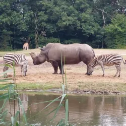 Burgers' Zoo - Arnhem