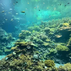 Burgers' Zoo - Arnhem