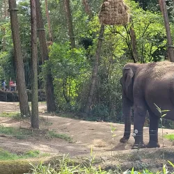 Burgers' Zoo - Arnhem