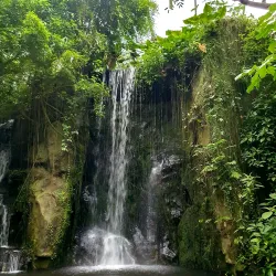 Burgers' Zoo - Arnhem