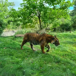 Burgers' Zoo - Arnhem