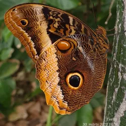 Burgers' Zoo - Arnhem