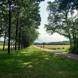 Landgoed Groeneveld - Baarn