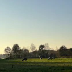 Landgoed Groeneveld - Baarn