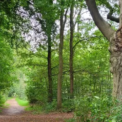 Landgoed Groeneveld - Baarn