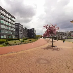Bergen op Zoom City Hall - Bergen op Zoom