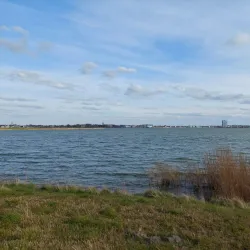 Binnenschelde - Bergen op Zoom
