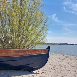 Binnenschelde - Bergen op Zoom