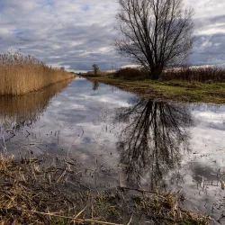 Binnenschelde - Bergen op Zoom