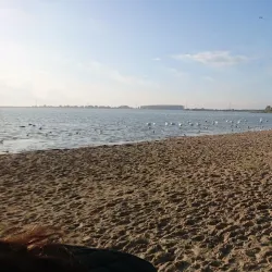 Binnenschelde - Bergen op Zoom