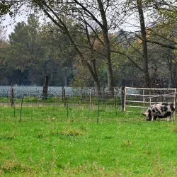 Zoomland - Bergen op Zoom